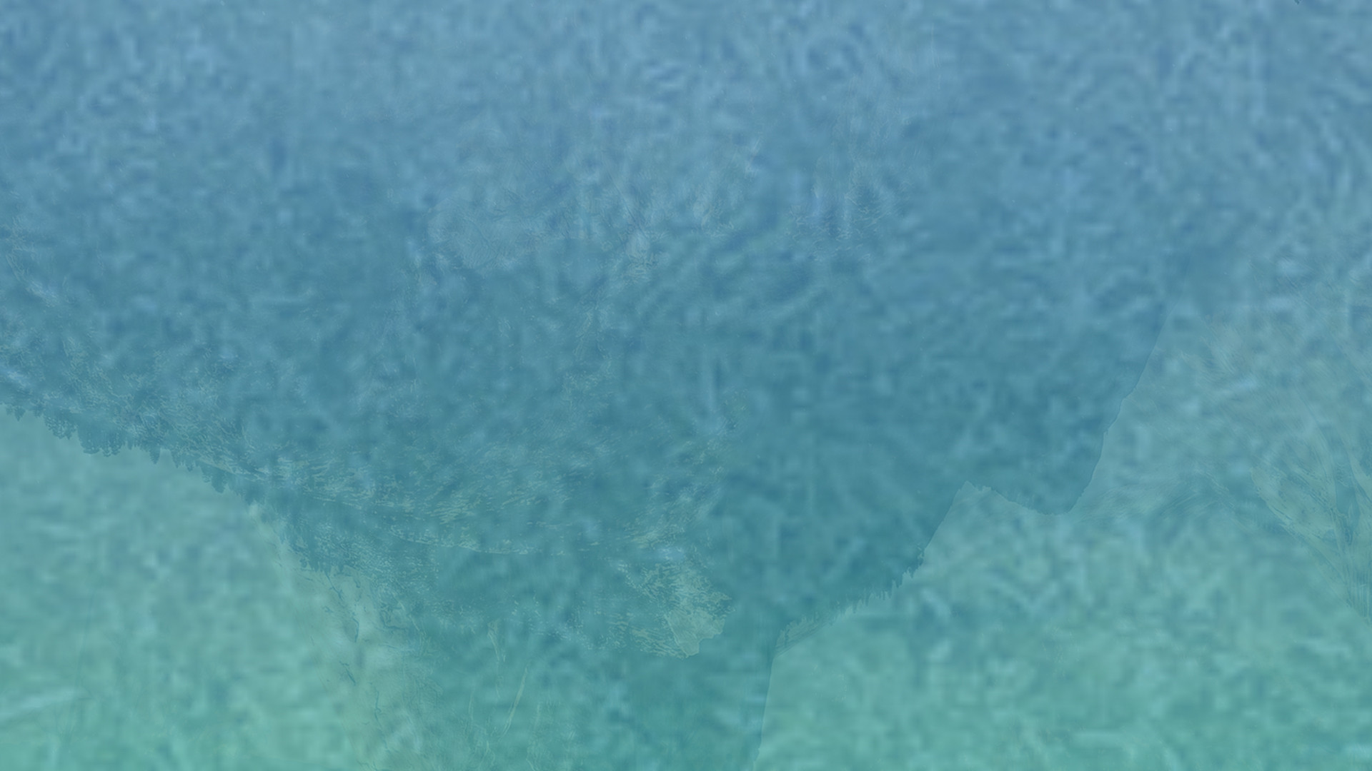 短信轰机轰炸app下载安卓手机